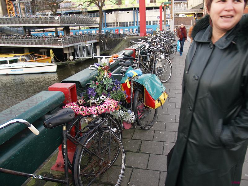 20080112FIA_NL86.jpg