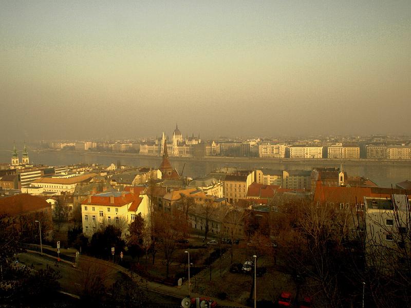 P1103560.JPG