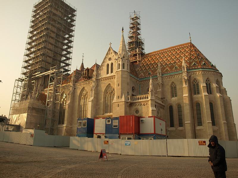 P1103564.JPG