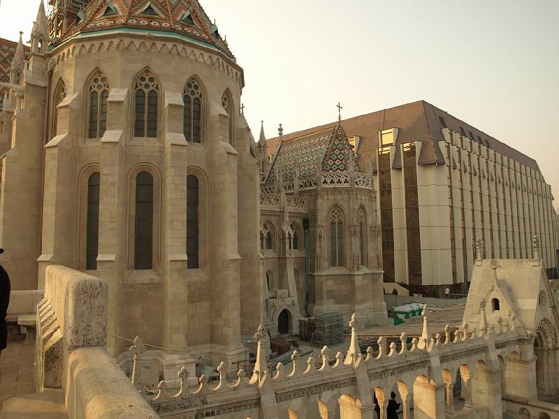 P1103571.JPG