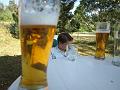 P7049236