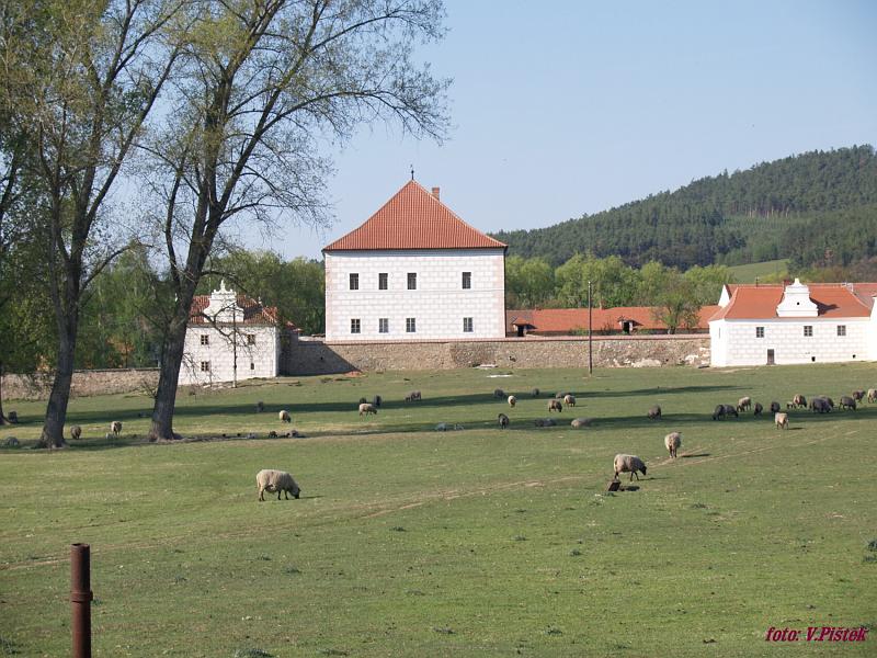 Krepenice.jpg